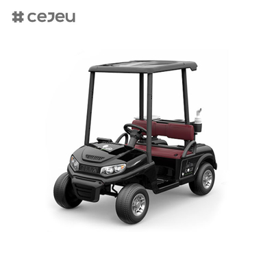 CJ-390 (두 좌석에 충분한 공간), 12V10AH*1, #550*2, 2.4G, 음악, usb, mp3, 여러 가지 색상 옵션을 가진 골프 카트