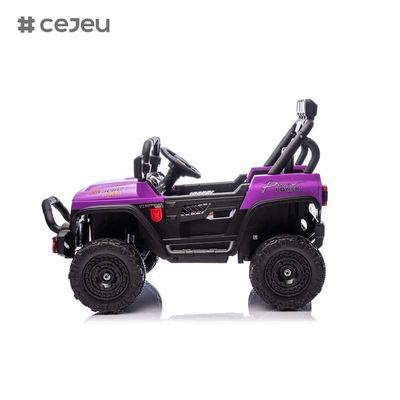 CJ-HP-018SJ 4륜 구동 전동 UTV 모델 좋은 선택 후방 저장 공간 2 속력 사용 가능 다채로운 보라색 검은 분홍색 파란색 플라스틱 자동차