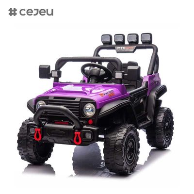 CJ-HP-018SJ 4륜 구동 전동 UTV 모델 좋은 선택 후방 저장 공간 2 속력 사용 가능 다채로운 보라색 검은 분홍색 파란색 플라스틱 자동차